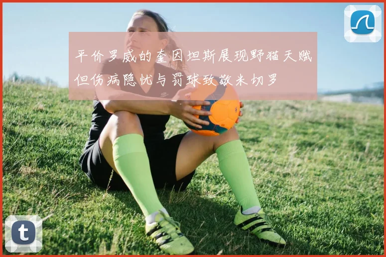 平价罗威的奎因坦斯展现野猫天赋但伤病隐忧与罚球致敬米切罗